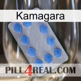 Kamagara 21